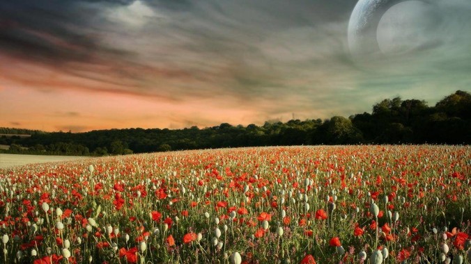 广东省肇庆市怀集县洪水后,赵一鸣零食店被哄抢,物资和收银机里面的几千块钱被哄抢一空,如何评价?